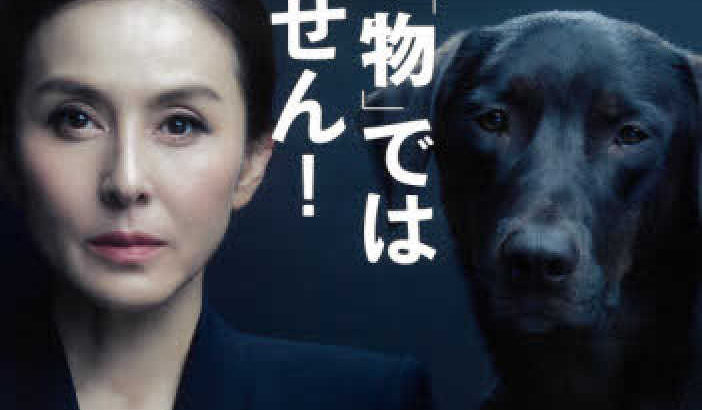 杉本彩さん「悪魔の所業」469匹を虐待した犬の販売業者に、殺傷罪でも立件求める！！！！！！！