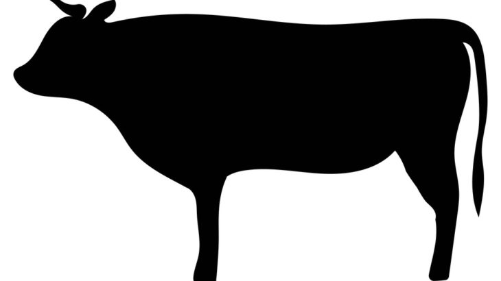 【画像】穴のあいた牛