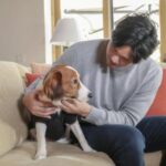 【野球】大谷翔平の愛犬は「デコピン」！米国では「発音が難しいので『Ｄｅｃｏｙ（ディコイ＝おとり）』と紹介」  [Egg★]